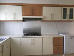 Tulip Garden (Enbloc) (D10), Condominium #145258862